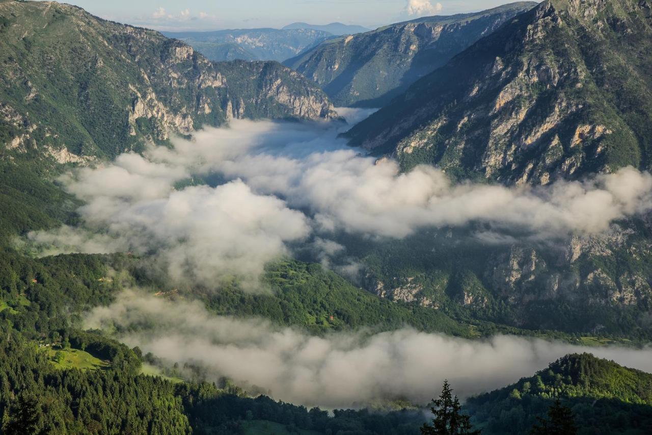 Vila Tijana Žabljak Esterno foto